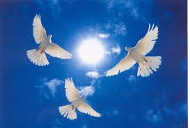 http://tbn3.google.com/images?q=tbn:0S_PUzSUbbdGXM:http://i172.photobucket.com/albums/w24/ninfae927/DovesNTheBlueSky.jpg