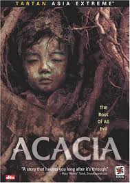 Akasya - Acacia