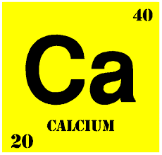 Adequite Calcium Is Not Good For Girls