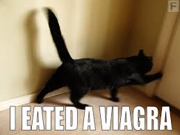 5 cialis generic viagra