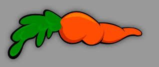 porkkana_on_hyvaa.jpg