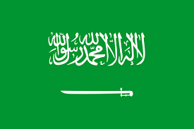 http://tbn3.google.com/images?q=tbn:5SurXCBcCLRnnM:http://www.tofocus.info/images/flags/saudi-arabia-flag.gif