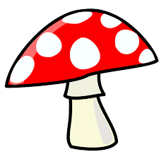 دروس الا نجليزية : الدورة الثانية Mushroom