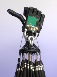 shadow_robot_company_hand_c5_thumbsup.jpg