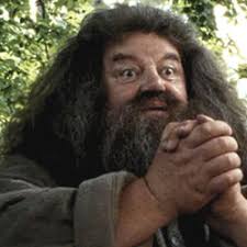 http://tbn3.google.com/images?q=tbn:6cpT01r-P47eaM:http://www.snapetales.com/pictures/hagrid.jpg