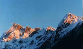 See full size image