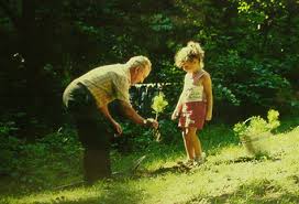Promotional Trees - Planting Hope for the Future