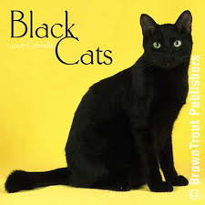 black_front1.jpg