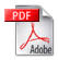 Danai_resume082009
