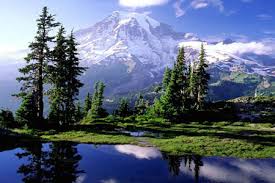 http://tbn3.google.com/images?q=tbn:C4zHpXeelPAuRM:http://www.sprae.net/img/foto/natura1.jpg