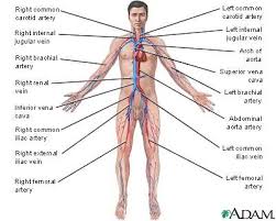 askep congestif heart failure