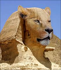 http://tbn3.google.com/images?q=tbn:CWlrlWyvUtBdgM:http://www.itusozluk.com/img.php/19f2816c513bc08808a9cda9e032725a24591/photoshop