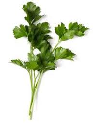 agrointegral.com