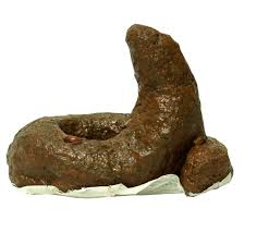 http://tbn3.google.com/images?q=tbn:EwaDwknVkDxILM:cachibromas.com/tiendacachibromas/images/50-caca-redonda.jpg