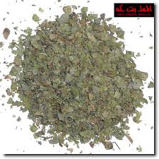 صور البردقوش marjoramlgzg2dz8.jpg