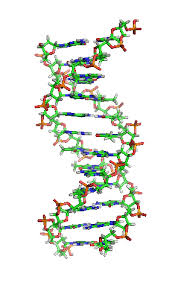 Kod DNA