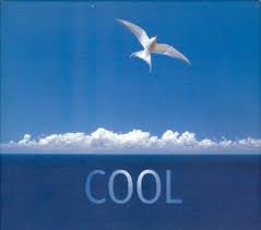 http://tbn3.google.com/images?q=tbn:HLgnowXo_IXDdM:http://pagesperso-orange.fr/patrick.lecordier/cool.JPG