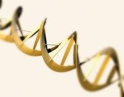 ETF Biotechnology