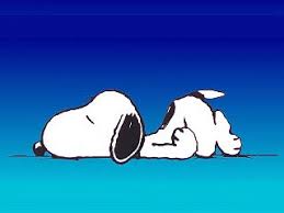 http://tbn3.google.com/images?q=tbn:J9cDSRKoSdl-7M:http://www.golding.ca/maggie/images/Snoopy-sleep.jpg