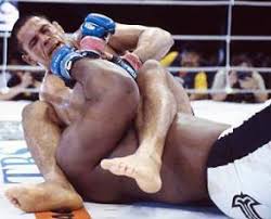 Minotauro Nogueira vs Bob Sapp 1/2