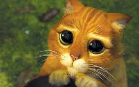 http://tbn3.google.com/images?q=tbn:KucfK5H6bSnIHM:http://www.replikultes.net/medias/uploads/films/shrek_2/shrek_2_chat3.jpg