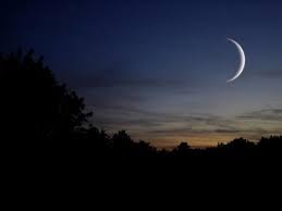 Xem ảnh với kích cỡ đầy đủ