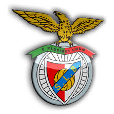 http://tbn3.google.com/images?q=tbn:L3cz6tP7cI6-6M:http://tenentenelson.files.wordpress.com/2008/08/benfica1.png