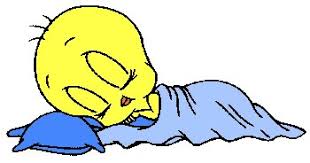 tweety
