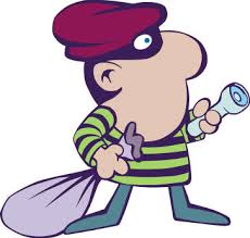 burglar-novatech-copy.jpg