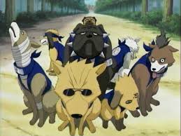 http://tbn3.google.com/images?q=tbn:Nk9XKcGSLJmNbM:http://i108.photobucket.com/albums/n16/Freaky-chan/Others/s20ninja20dogs.jpg
