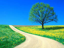 Primavera