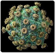 sejarah virus 