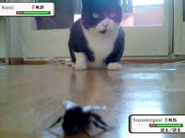 agrandir cette image de sophie-davant