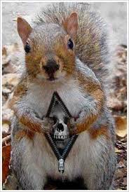 ruffin_squirrel_skull.jpg