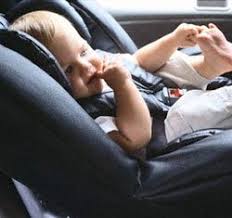 suv seat covers paw print
