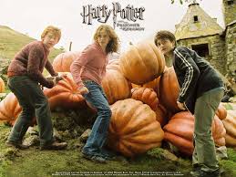 Foto di un marito per mia figlia - warnerbros