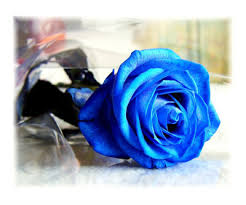 فى الورد كل لون له معنى Blue-rose-2311200992851