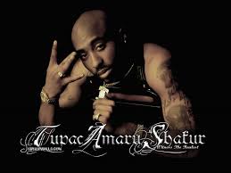 walls2pac8_10241.jpg