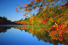 peacefulness