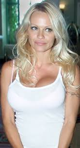 Pamela_Anderson.jpg‎ (278 × 514 ...