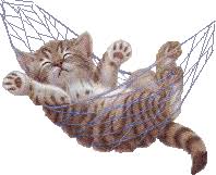 http://tbn3.google.com/images?q=tbn:SknT-jNvf1bUiM:http://www.moveed.com/data/thumbnails/31/9_2.gif