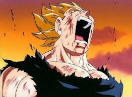 vegeta014 dans 