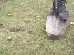 hdswt106_3d_shovel_lg.jpg