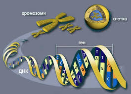 Как да си подарим още 14 години живот