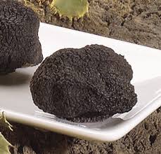 Sicania. La trufa negra valenciana