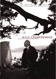 Wild Strawberries