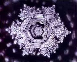 Flores de bach masaru emoto