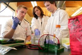 Biotechnology From Wikipedia