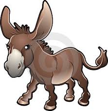 خریت خر