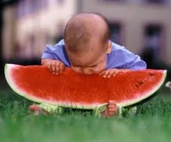 bayi lucu